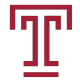 TEM logo