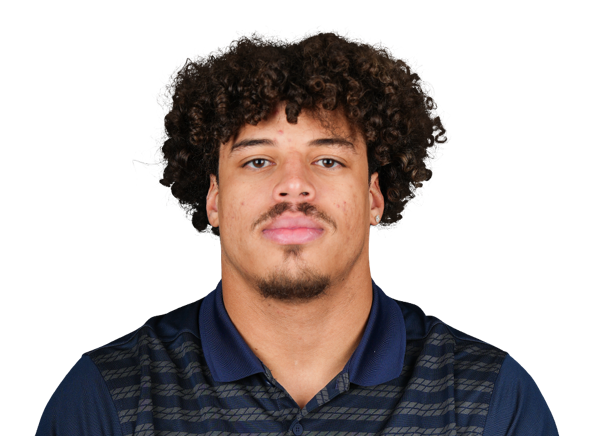Dalton Johnson  S  Arizona | NFL Draft 2026 Souting Report - Portrait Image