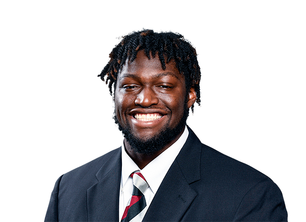 Demetrius Knight Jr.  LB  South Carolina | NFL Draft 2025 Souting Report - Portrait Image