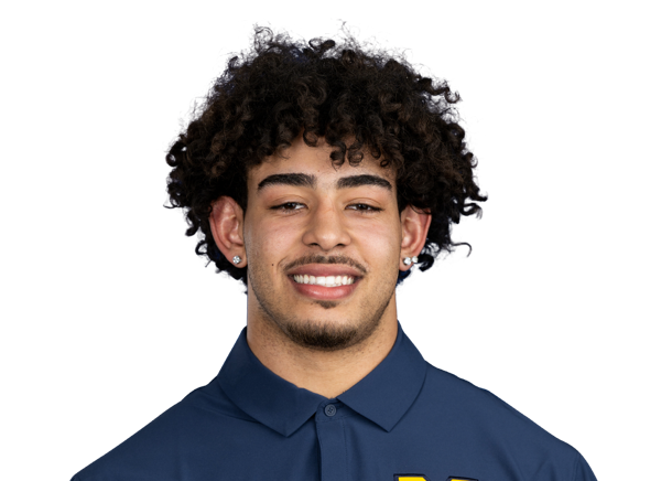 Dom Nichols  DE  Michigan | NFL Draft 2027 Souting Report - Portrait Image