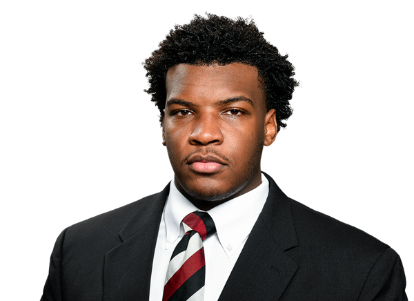Nick Barrett  DL  South Carolina | NFL Draft 2026 Souting Report - Portrait Image