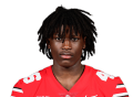 Arvell Reese Ohio State Thumbnail - NFLDraftBUZZ.com