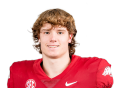 Isaac TeSlaa Arkansas Thumbnail - NFLDraftBUZZ.com