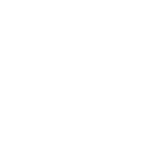 Air Force Mascot