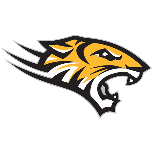 Towson Mascot