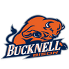 Bison  Mascot