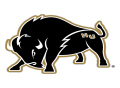 Harding Bison