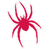 Spiders  Mascot