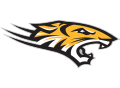 Towson   Mascot